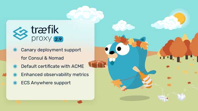 Announcing Traefik Proxy 2.9