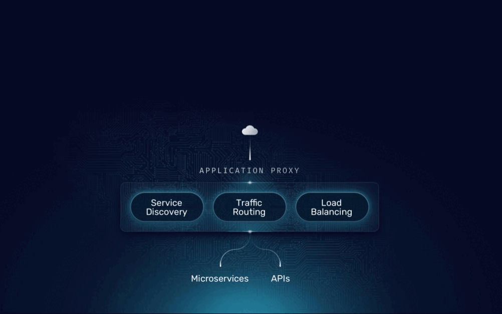 Key API Gateway & API Management capabilities that can be added to Traefik OSS.